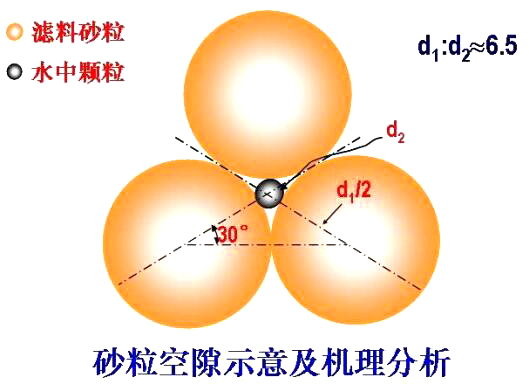 砂?？障妒疽饧皺C理分析